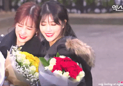 7_e9cUd018svc1osrld78l5869_4irjol.gif?ty