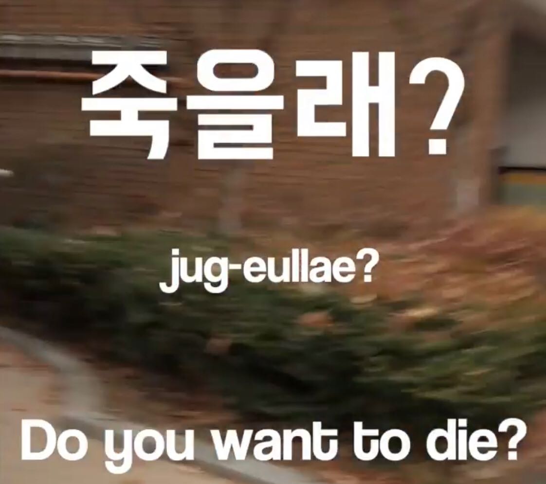 die in korean